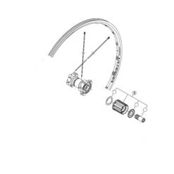 Corps Roue Libre Shimano Ultegra WH-6700 Y4FP98050